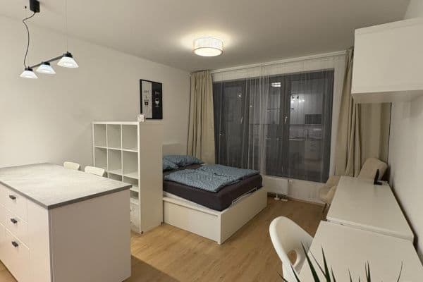 Pronájem bytu 1+kk 31 m², Železná, Plzeň, Plzeňský kraj Pronájem bytu 1+kk 31 m², Železná, Plzeň, Plzeňský kraj