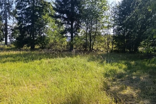 Prodej pozemku 2.589 m², Malšín Prodej pozemku 2.589 m², Malšín