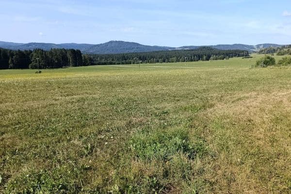 Prodej pozemku 6.999 m², Vyšší Brod Prodej pozemku 6.999 m², Vyšší Brod