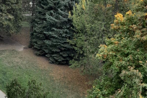 Prodej bytu 1+kk 38 m², Pod Nemocnicí, Brno Prodej bytu 1+kk 38 m², Pod Nemocnicí, Brno