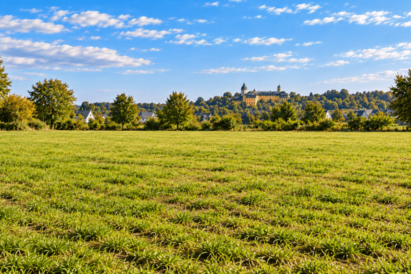 Prodej pozemku 4.000 m², Hachenburg Prodej pozemku 4.000 m², Hachenburg