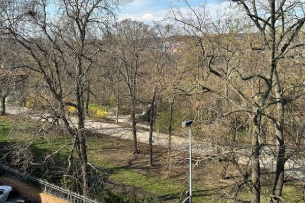 Prodej bytu 2+1 77 m², Jana Zajíce, Praha Prodej bytu 2+1 77 m², Jana Zajíce, Praha