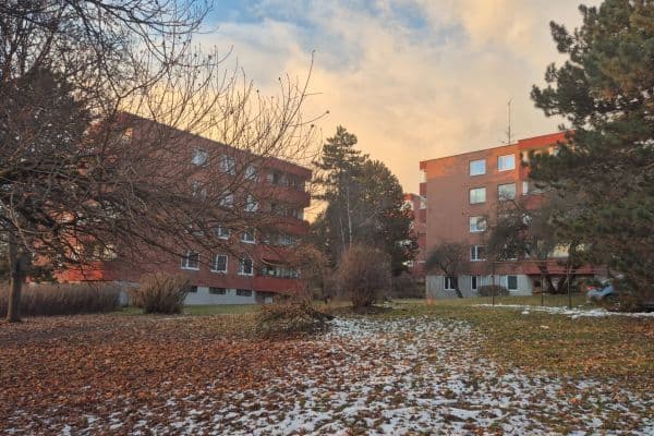 Pronájem bytu 1+kk 30 m², Brožíkova, Brno Pronájem bytu 1+kk 30 m², Brožíkova, Brno