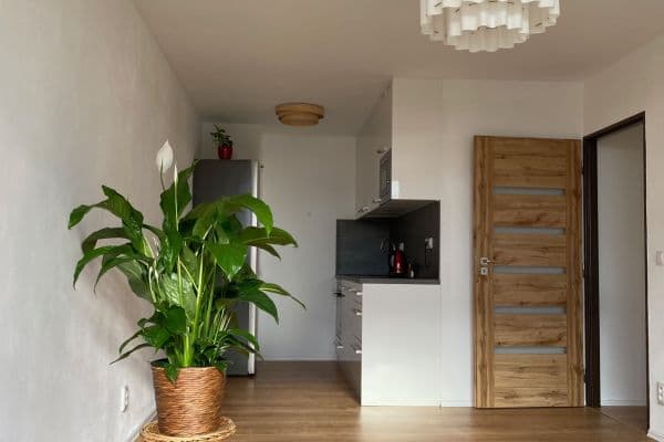 Pronájem bytu 2+kk 39 m², Lovosická, Praha Pronájem bytu 2+kk 39 m², Lovosická, Praha