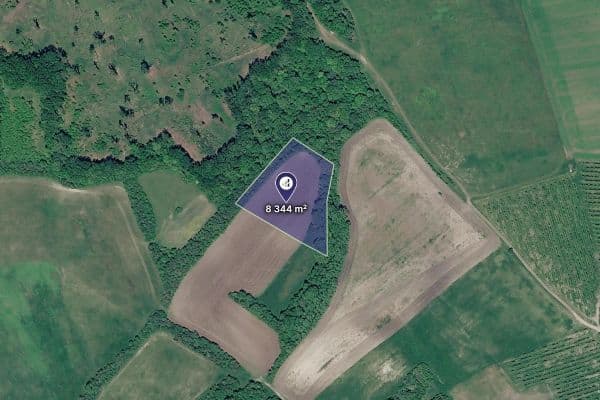 Prodej pozemku 3.477 m², Třebívlice Prodej pozemku 3.477 m², Třebívlice