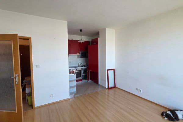 Pronájem bytu 2+kk 40 m², Holubí, Pronájem bytu 2+kk 40 m², Holubí,