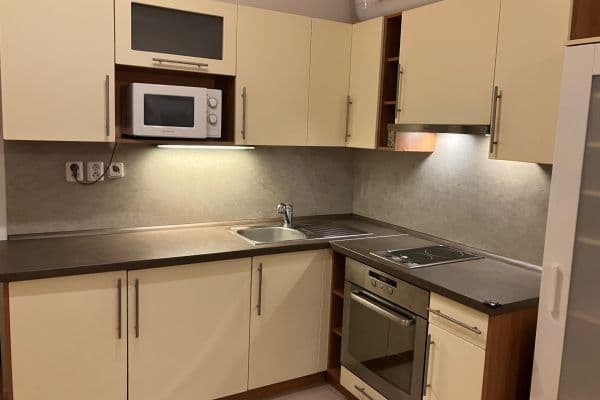 Pronájem bytu 1+kk 27 m², Purkyňova, Pronájem bytu 1+kk 27 m², Purkyňova,