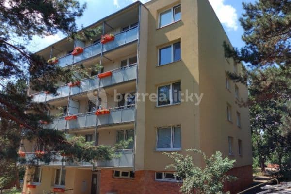 Pronájem bytu 3+1 75 m², Třískalova, Pronájem bytu 3+1 75 m², Třískalova,