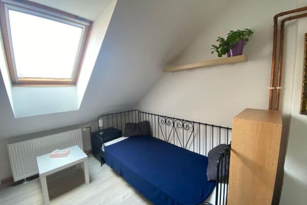 Pronájem bytu 1+kk 22 m², Mánesova, Pronájem bytu 1+kk 22 m², Mánesova,
