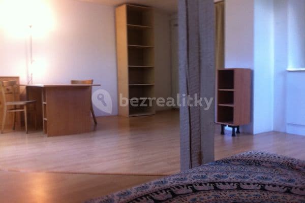 Pronájem bytu 1+kk 30 m², Jarní, Pronájem bytu 1+kk 30 m², Jarní,