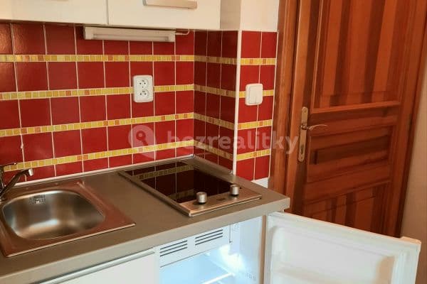 Pronájem bytu 1+kk 18 m², Vlkova, Praha Pronájem bytu 1+kk 18 m², Vlkova, Praha