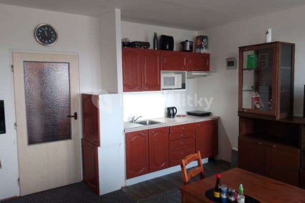 Pronájem bytu 1+kk 33 m², Velkopavlovická, Brno, Jihomoravský kraj Pronájem bytu 1+kk 33 m², Velkopavlovická, Brno, Jihomoravský kraj
