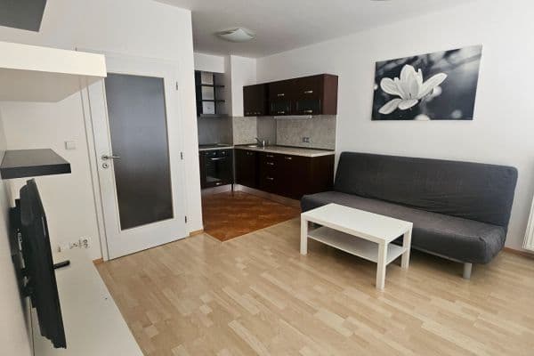 Pronájem bytu 1+kk 42 m², Raichlova, Pronájem bytu 1+kk 42 m², Raichlova,