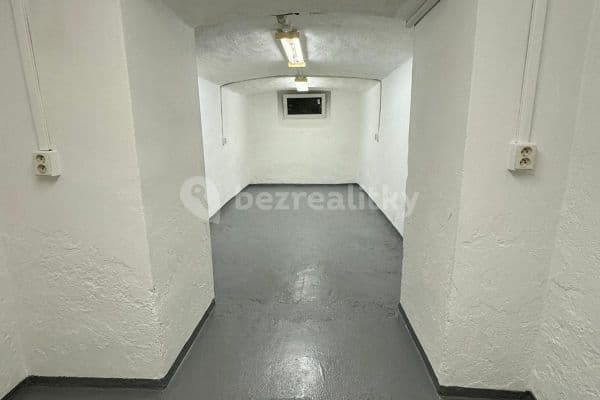 Pronájem nebytového prostoru 20 m², Drahobejlova, Hlavní město Praha