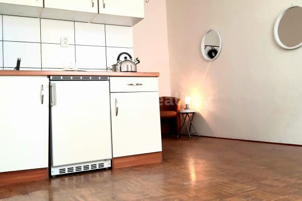 Pronájem bytu 1+kk 25 m², Krásova, Praha, Praha