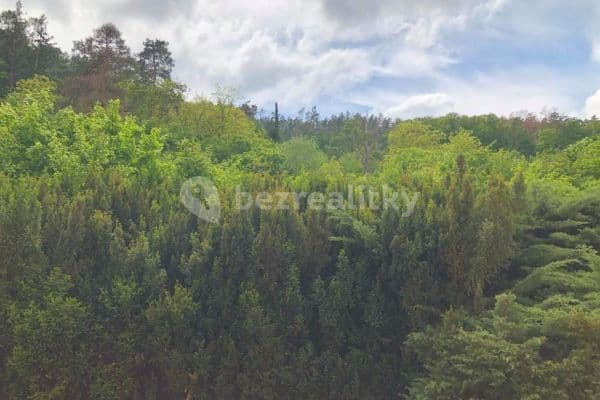 Pronájem bytu 2+1 56 m², Jasanová, Pronájem bytu 2+1 56 m², Jasanová,