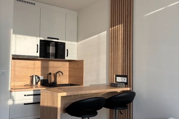 Pronájem bytu 1+kk 24 m², Halasovo náměstí, Brno Pronájem bytu 1+kk 24 m², Halasovo náměstí, Brno