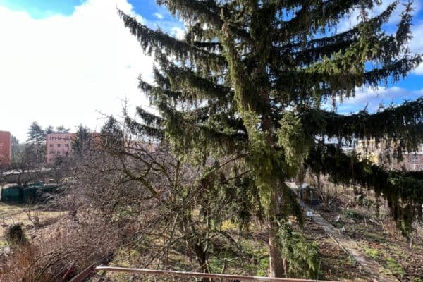 Pronájem bytu 1+1 36 m², Tilhonova, Slatina Pronájem bytu 1+1 36 m², Tilhonova, Slatina