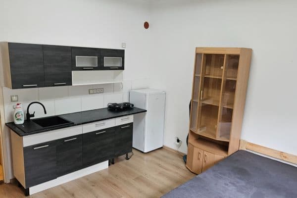Pronájem bytu Garsoniéra 24 m², Jeseniova, Pronájem bytu Garsoniéra 24 m², Jeseniova,
