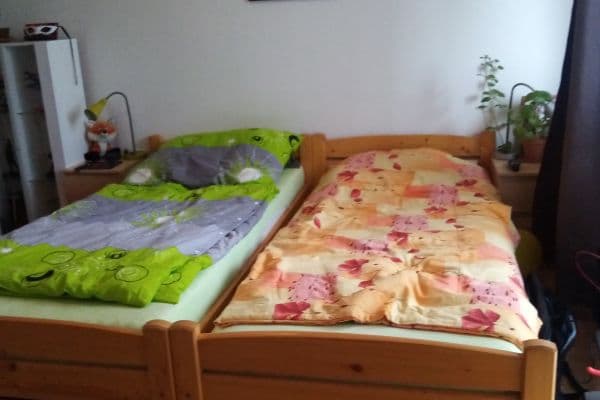 Pronájem bytu 1+kk 31 m², Francouzská, Brno-střed Pronájem bytu 1+kk 31 m², Francouzská, Brno-střed