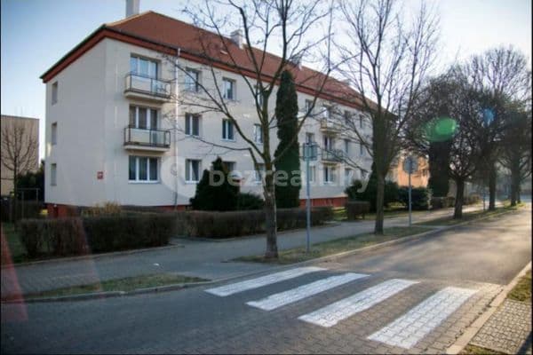 Pronájem bytu 3+1 60 m², Luštěnická, Praha 19 Pronájem bytu 3+1 60 m², Luštěnická, Praha 19