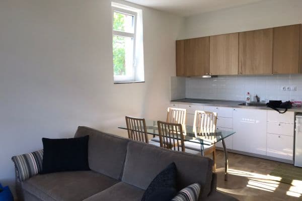 Pronájem bytu 1+kk 45 m², Celní, Brno Pronájem bytu 1+kk 45 m², Celní, Brno