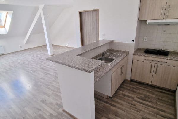 Pronájem bytu 1+kk 46 m², Zdařilá, Praha Pronájem bytu 1+kk 46 m², Zdařilá, Praha