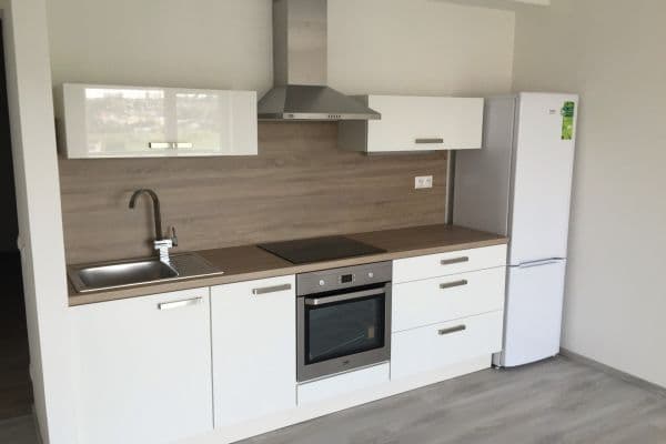 Pronájem bytu 2+kk 57 m², U Velkého rybníka, Plzeň Pronájem bytu 2+kk 57 m², U Velkého rybníka, Plzeň