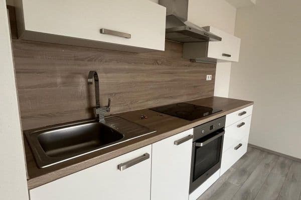 Pronájem bytu 2+kk 57 m², U Velkého rybníka, Plzeň Pronájem bytu 2+kk 57 m², U Velkého rybníka, Plzeň