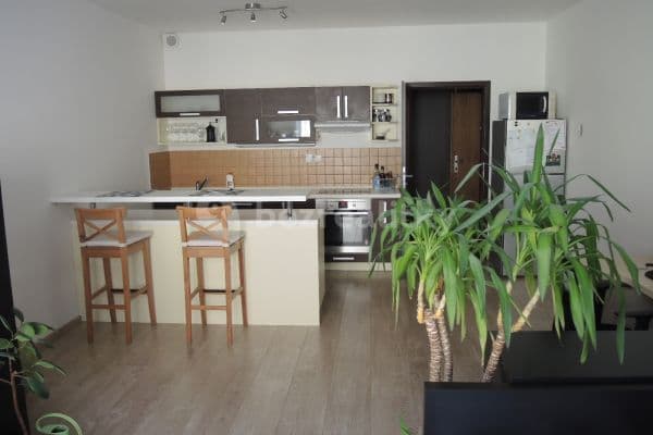 Pronájem bytu 1+kk 38 m², Bedřicha Smetany, České Budějovice Pronájem bytu 1+kk 38 m², Bedřicha Smetany, České Budějovice