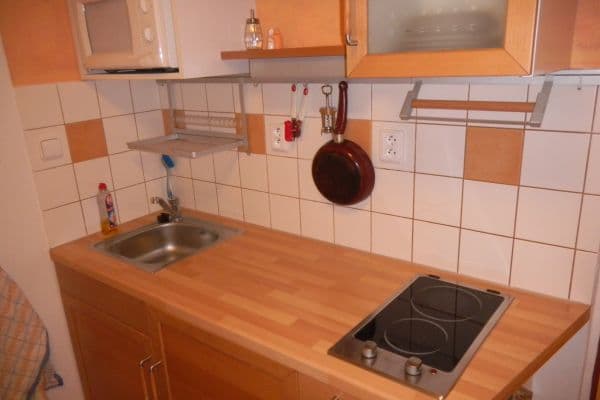 Pronájem bytu Garsoniéra 24 m², Lýskova, Praha Pronájem bytu Garsoniéra 24 m², Lýskova, Praha