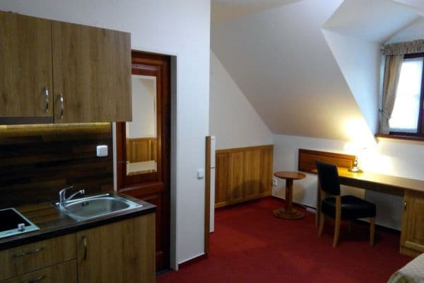 Pronájem bytu 1+kk 25 m², Na Vinohradu, Praha Pronájem bytu 1+kk 25 m², Na Vinohradu, Praha