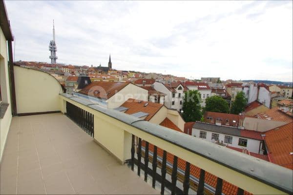 Pronájem bytu 2+1 80 m², Hartigova, Praha Pronájem bytu 2+1 80 m², Hartigova, Praha