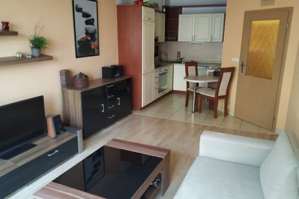 Pronájem bytu Pronájem bytu