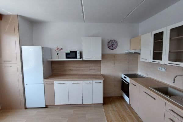 Pronájem bytu 1+1 52 m², Jana Zajíce, Pardubice III Pronájem bytu 1+1 52 m², Jana Zajíce, Pardubice III