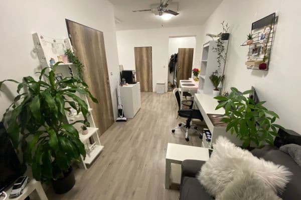 Pronájem bytu 2+kk 33 m², Bělohorská, Brno Pronájem bytu 2+kk 33 m², Bělohorská, Brno