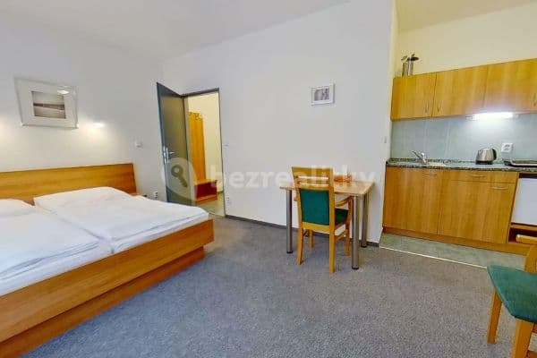 Pronájem bytu Garsoniéra 35 m², Dlouhá, Hradec Králové Pronájem bytu Garsoniéra 35 m², Dlouhá, Hradec Králové