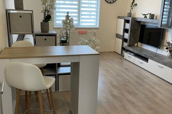 Pronájem bytu Pronájem bytu