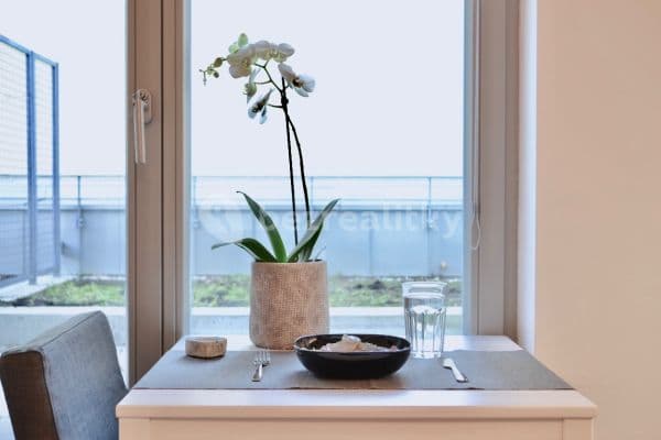 Pronájem bytu 1+kk 20 m², Koněvova, Praha Pronájem bytu 1+kk 20 m², Koněvova, Praha