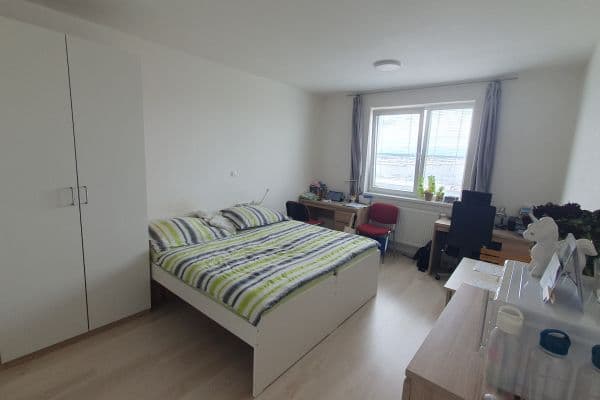 Pronájem bytu 1+kk 28 m², Technická, Plzeň, Plzeňský kraj Pronájem bytu 1+kk 28 m², Technická, Plzeň, Plzeňský kraj