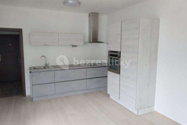 Pronájem bytu 2+kk 44 m², Vídeňská, Brno-město Pronájem bytu 2+kk 44 m², Vídeňská, Brno-město