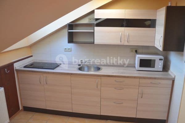 Pronájem bytu 1+1 43 m², Hřímalého, Plzeň Pronájem bytu 1+1 43 m², Hřímalého, Plzeň