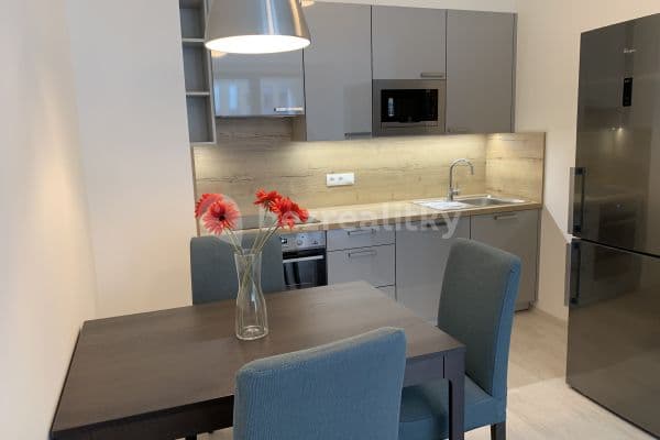 Pronájem bytu 2+kk 56 m², U Mlýnského kanálu, Praha Pronájem bytu 2+kk 56 m², U Mlýnského kanálu, Praha