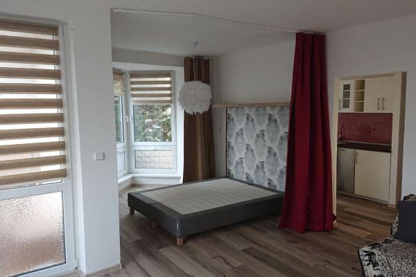 Pronájem bytu 1+1 45 m², Dašická, Pardubice, Pardubický kraj Pronájem bytu 1+1 45 m², Dašická, Pardubice, Pardubický kraj