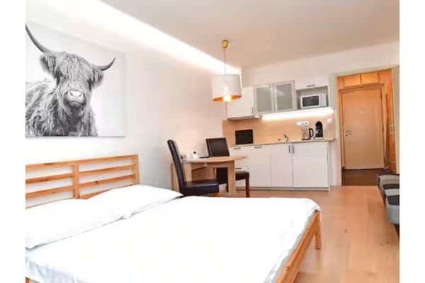 Pronájem bytu Pronájem bytu