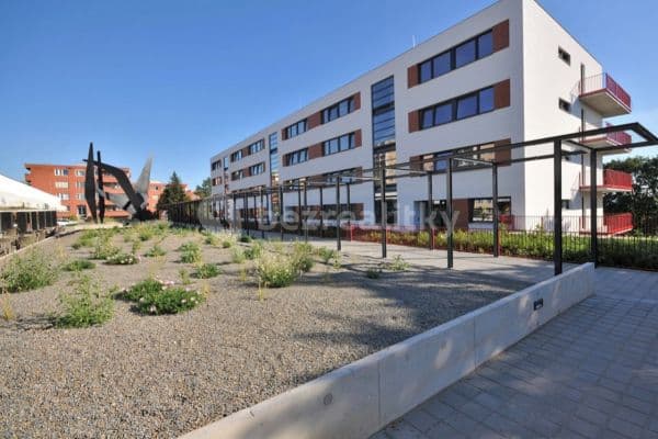 Pronájem bytu 2+kk 46 m², 42, Brno Pronájem bytu 2+kk 46 m², 42, Brno