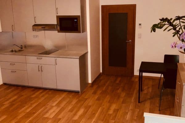 Pronájem bytu 1+kk 36 m², Rižská, Praha Pronájem bytu 1+kk 36 m², Rižská, Praha