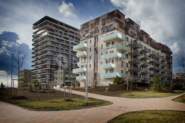 Pronájem bytu 1+kk 35 m², Svitákova, Praha Pronájem bytu 1+kk 35 m², Svitákova, Praha