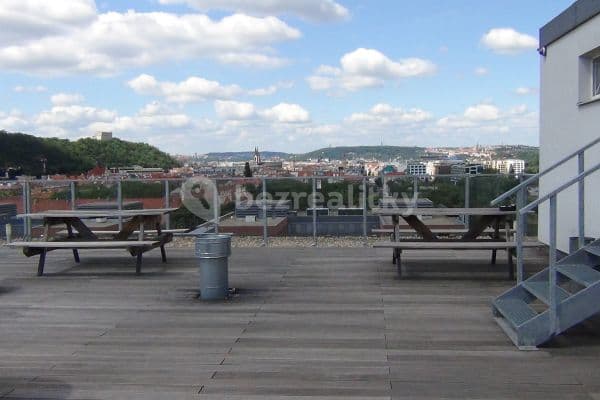 Pronájem bytu 3+kk 42 m², Molákova, Praha Pronájem bytu 3+kk 42 m², Molákova, Praha