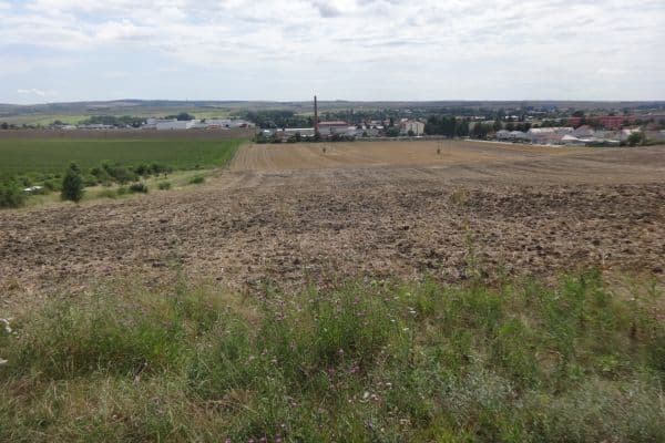 Prodej pozemku 2.452 m², Zlatá Hora, Slavkov u Brna Prodej pozemku 2.452 m², Zlatá Hora, Slavkov u Brna